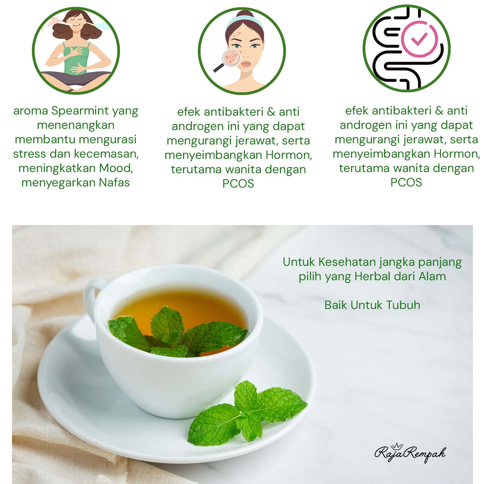 manfaat mengkonsumsi daun spearmint secara rutin